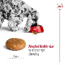 rc-shn24-dry-medad-pork-3004-cv-3 (1).webp