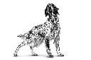 69a3a8f7-7094-4f29-a965-b2490009f32a_DownloadAsJpg.webp