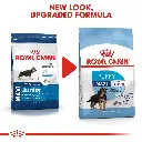 RC-SHN-PuppyMaxi-CV-EretailKit-6_12da4042-fb10-41a0-b00f-c40ec63e6c2c.webp