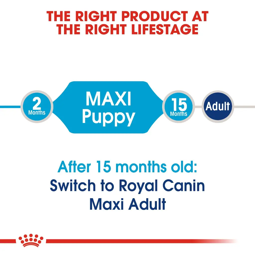 RC-SHN-PuppyMaxi-CV-EretailKit-1_f1b58b16-6b6f-412c-9b90-17b37766d4bf.webp