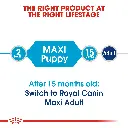 RC-SHN-PuppyMaxi-CV-EretailKit-1_f1b58b16-6b6f-412c-9b90-17b37766d4bf.webp