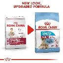 RC-SHN-PuppyMediumStarter-CV-EretailKit-6.webp