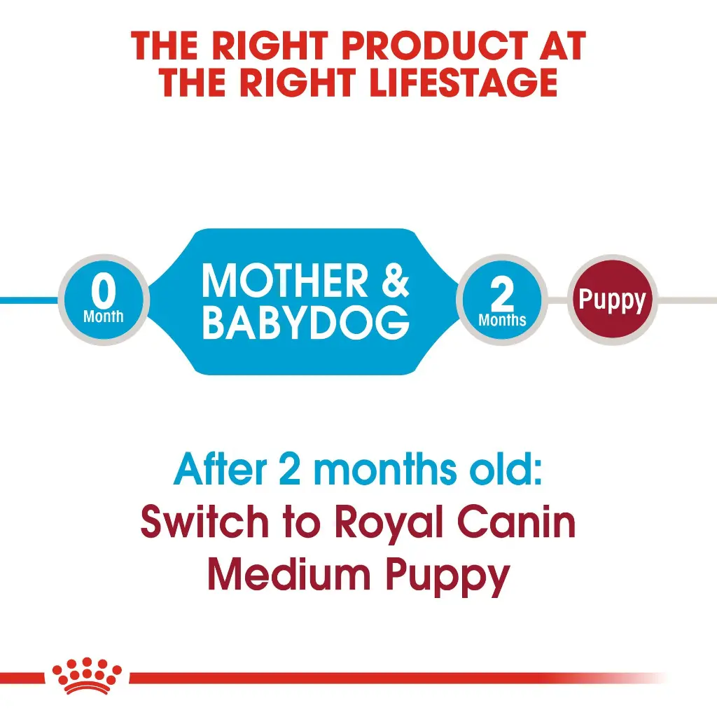 RC-SHN-PuppyMediumStarter-CV-EretailKit-1.webp