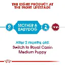 RC-SHN-PuppyMediumStarter-CV-EretailKit-1.webp