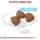 RC-SHN-PuppyMediumStarter-CV-EretailKit-3.webp