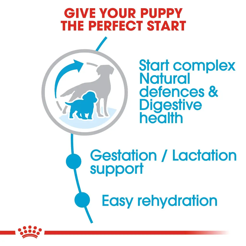 RC-SHN-PuppyMediumStarter-CV-EretailKit-2.webp