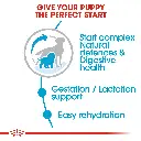 RC-SHN-PuppyMediumStarter-CV-EretailKit-2.webp