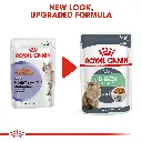 RC-FCN-Wet-DigestSensitiveGravy-CV-Eretailkit-1.webp