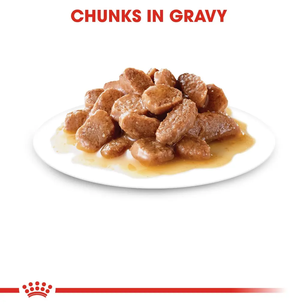 RC-FCN-Wet-DigestSensitiveGravy-CV-Eretailkit-3.webp