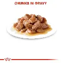 RC-FCN-Wet-DigestSensitiveGravy-CV-Eretailkit-3.webp