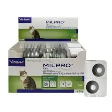 download (2).webp