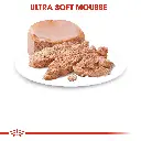 rc-fhn-wet-m_bloaf-cv-eretailkit-3.webp