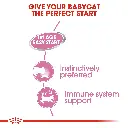 rc-fhn-wet-m_bloaf-cv-eretailkit-2.webp