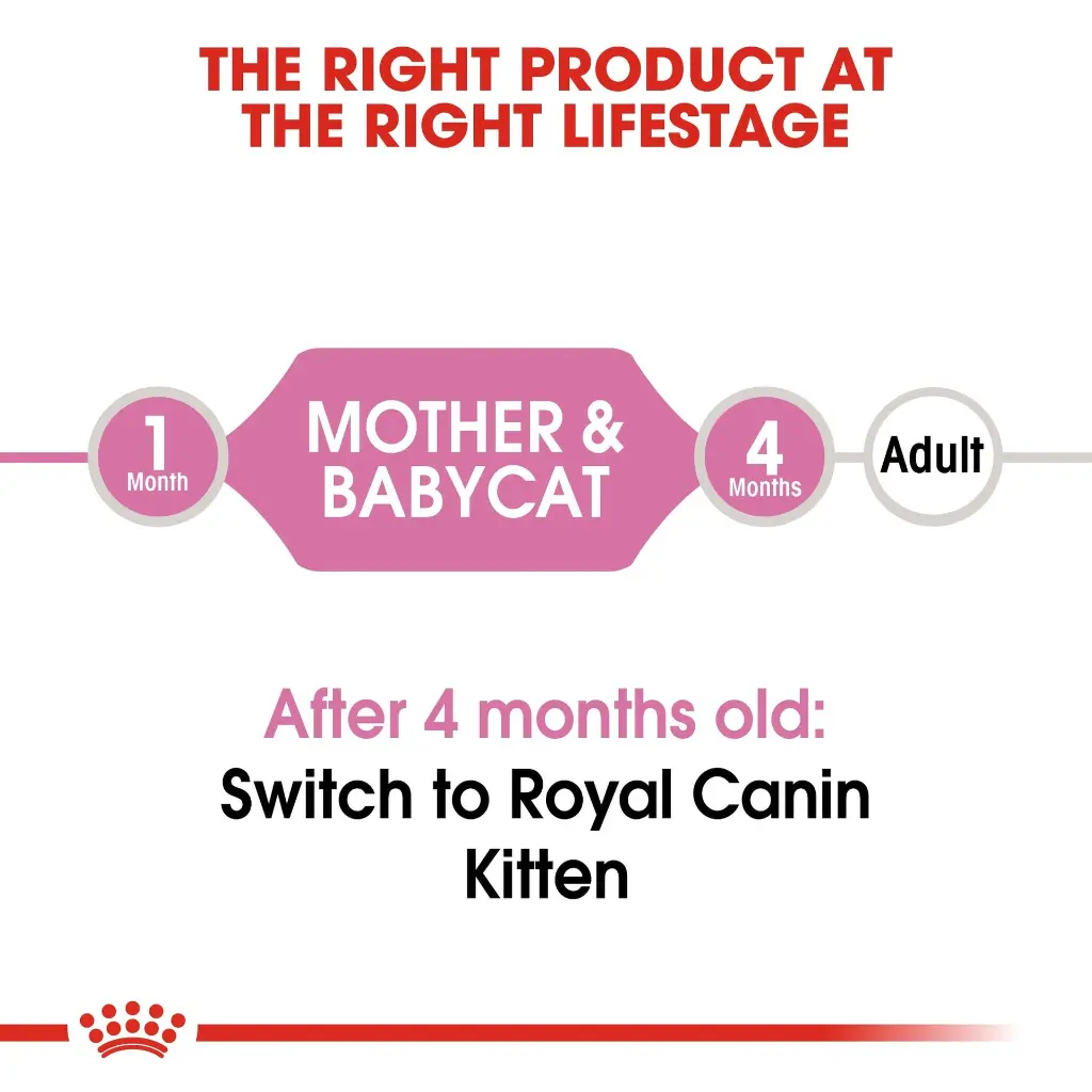 rc-fhn-m_bloaf-cv-eretailkit-1.webp