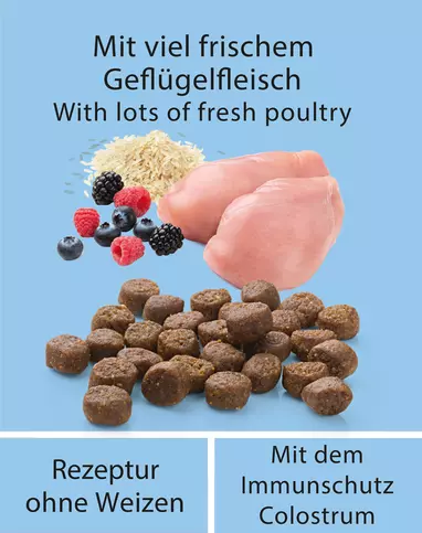 MERA | FF KITTEN | 1.5 KG 