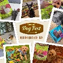 Dog Fest Calcium Bones With Duck For Puppies - 90g (3.17oz)[Weight - 90g] (4).webp