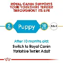 RC-BHN-PuppyYorkshire-CV-EretailKit-1.webp