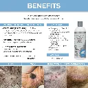 Synergy Labs Veterinary Formula Clinical Care Flea & Tick Shampoo 473ml (5).webp