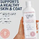 Synergy Labs VFCC Hot Spot & Itch Relief Medicated Conditioner 473ml (16oz) [Volume - 473ml].webp