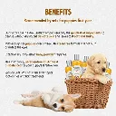 Synergy Labs Veterinary Formula Solutions Puppy Love Extra Gentle & Tearless Shampoo 17oz - 503ml (1).webp