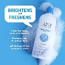 Synergy Labs Veterinary Formula Solutions Snow White Shampoo 17oz - 503ml (1).webp