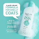 Synergy Labs Veterinary Formula Solutions Soothing & Deodorizing Oatmeal Shampoo 17oz - 503ml (1).webp