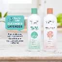 Synergy Labs Veterinary Formula Solutions Soothing & Deodorizing Oatmeal Shampoo 17oz - 503ml (3).webp