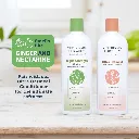 Synergy Labs Veterinary Formula Solutions Triple Strength Dirty Dog Concentrated Shampoo 17oz - 503ml (3).webp