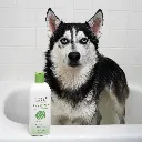 Synergy Labs Veterinary Formula Solutions Triple Strength Dirty Dog Concentrated Shampoo 17oz - 503ml (4).webp