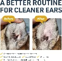 Synergy Lab Ear Therapy For Dog & Cat[Volume - 118ml].webp