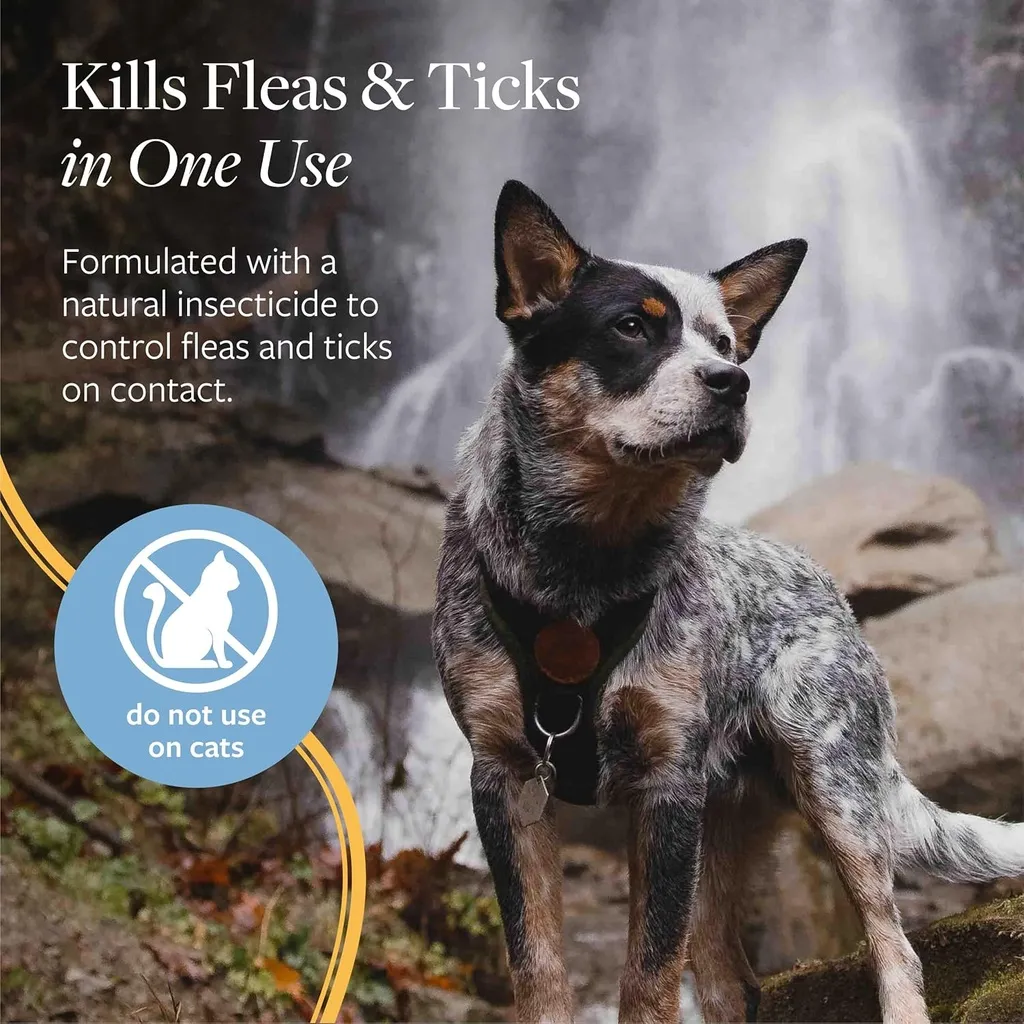 Synergy Labs Veterinary Formula Flea & Tick Spray 237ml (8 Fl Oz) (1).webp