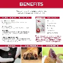 Synergy Labs Veterinary Formula Super Clotgel 28g (Blood Stopper)[Weight - 28g].webp