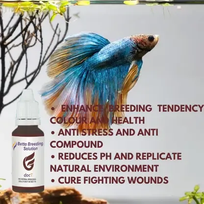 Horizone Doct Betta Breading Solution - 30ml.webp