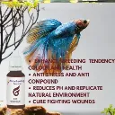 Horizone Doct Betta Breading Solution - 30ml.webp