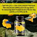Horizone Eagle Betta Plus - 100ml.webp