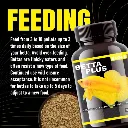 Horizone Eagle Betta Plus - 100ml (2).webp