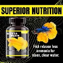 Horizone Eagle Betta Plus - 100ml (3).webp