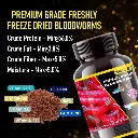 Horizone Eagle Freeze Dried Blood Worms - 100 ml (3).webp