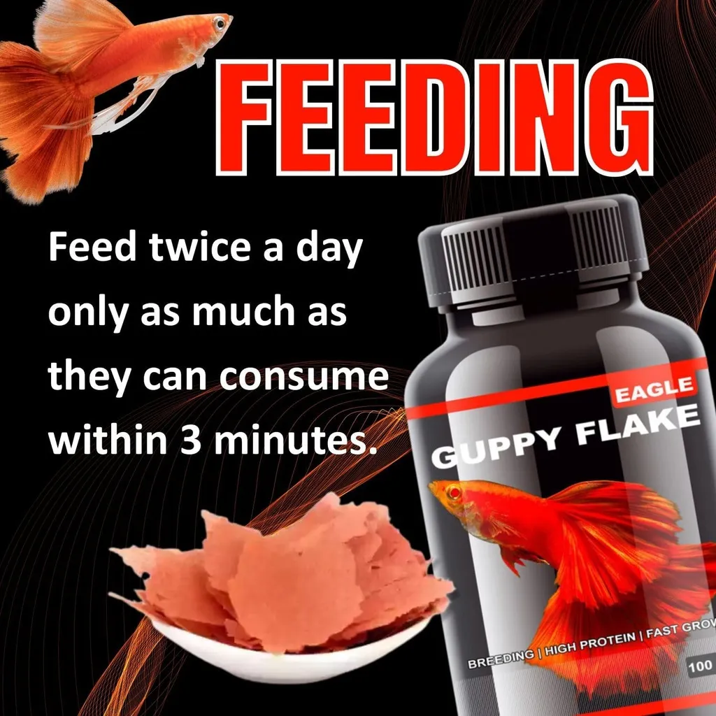 Horizone Eagle Guppy Flakes - 100ml (3).webp