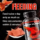 Horizone Eagle Guppy Flakes - 100ml (3).webp