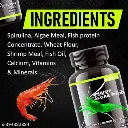 Horizone Eagle Shrimp Algae Food - 100ml (1).webp
