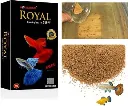 Horizone Royal Guppy Food - 22g (2).webp