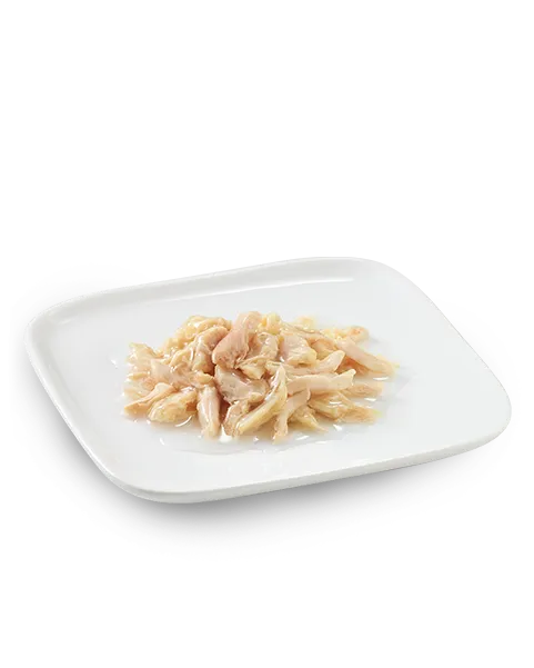 Schesir Dog Wet Food Can-Chicken Natural Style-(Min Order 85g- 14pcs)[Weight - 85g].webp