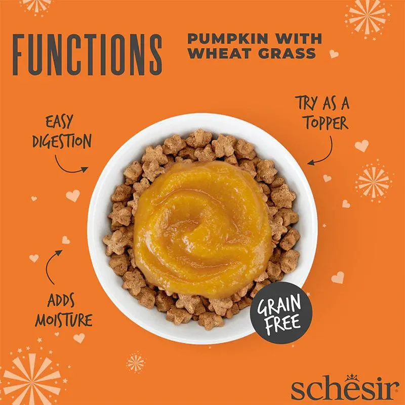 Schesir Functions Cat Pouch Digestive Topper Pumpkin With Wheat Grass 40g (Min Order- 12 Pouch) (2).webp