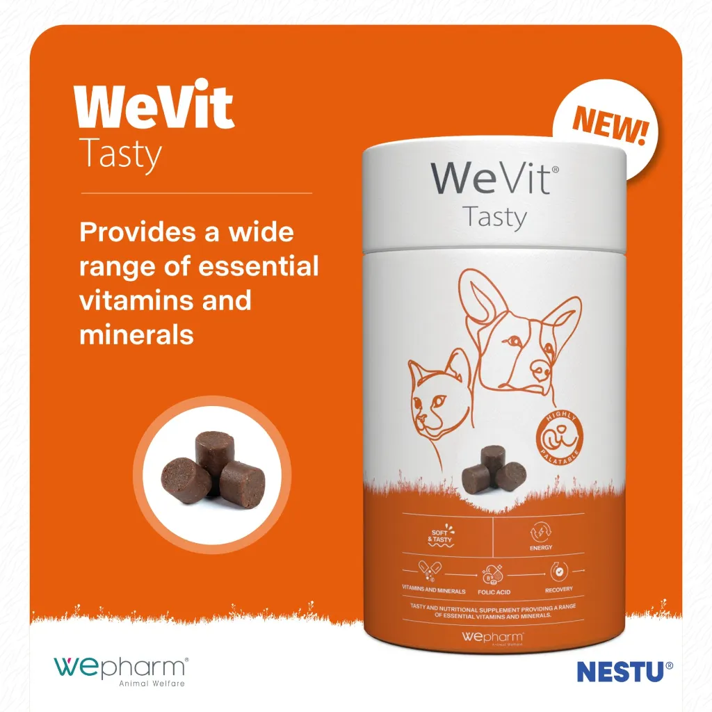 0015493_wevit-tasty-for-dogs-cats-30-soft-chews.webp