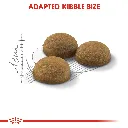 RC-FHN-IndoorLongHair-CV-Eretailkit-3_b4d2c83c-2c5a-4396-a7a4-73fb2ffa94fe.webp
