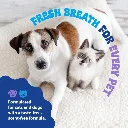 Synergy Labs Dental Fresh Plaque & Tartar Control Water Additive for Dogs & Cats 503.webp