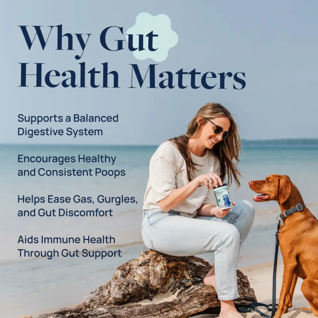 Synergy Labs Veterinary Formula Gut Health Formulated Probiotic Chews Supplement for Dogs – 225g [Count - 60].webp