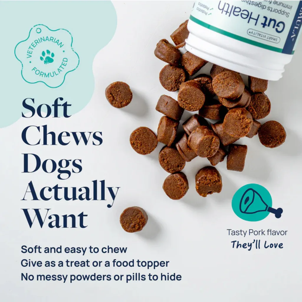Synergy Labs Veterinary Formula Gut Health Formulated Probiotic Chews Supplement for Dogs – 225g [Count - 60] (3).webp