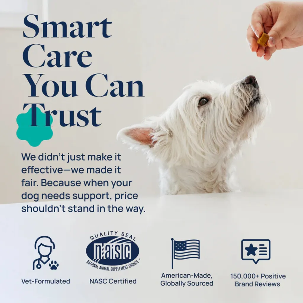 Synergy Labs Veterinary Formula Gut Health Formulated Probiotic Chews Supplement for Dogs – 225g [Count - 60] (4).webp